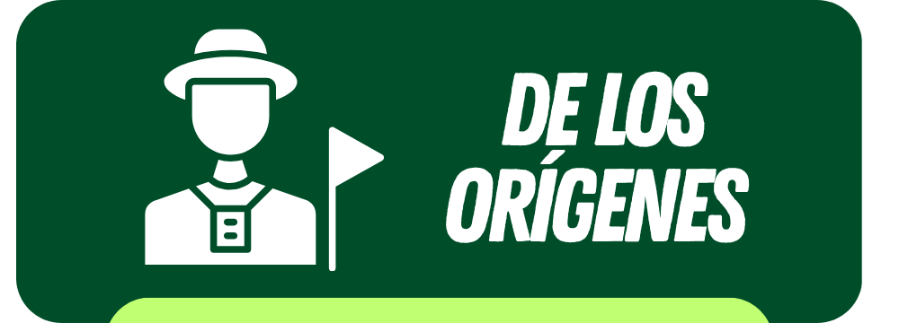 Circuito 1