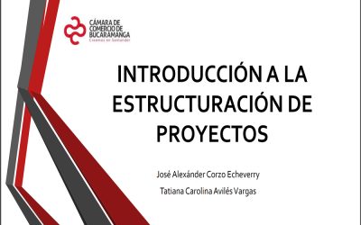 Instructivo para formular proyectos