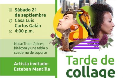 Explora la técnica del Collage