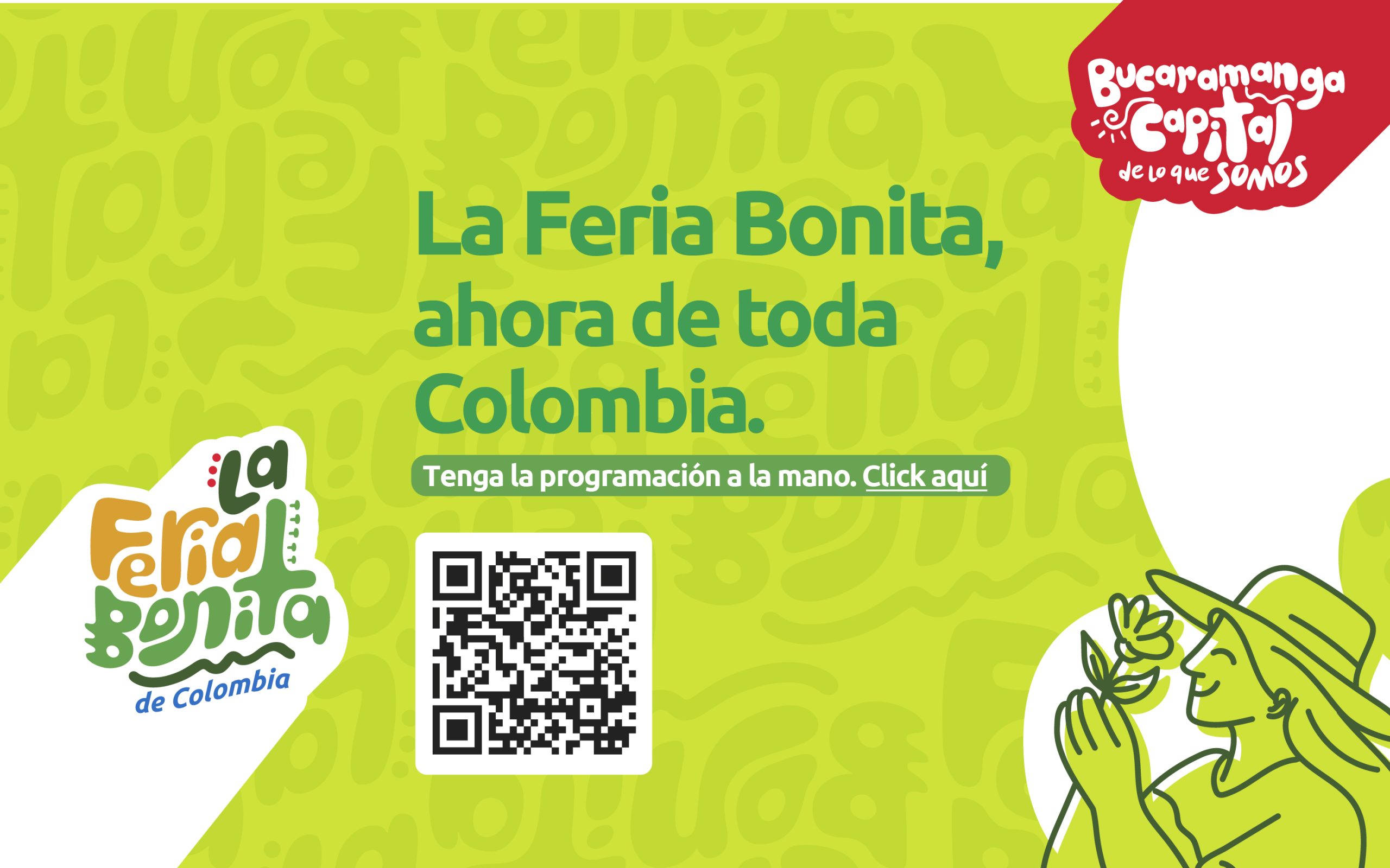 Feria Bonita - IMCT