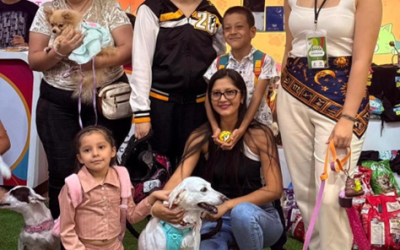 Fundación Paticas al Rescate invita a jornada solidaria por los animales desamparados de Bucaramanga